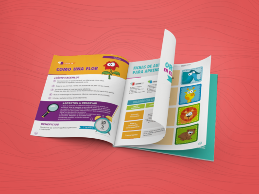 aprender_juntos-monseviana